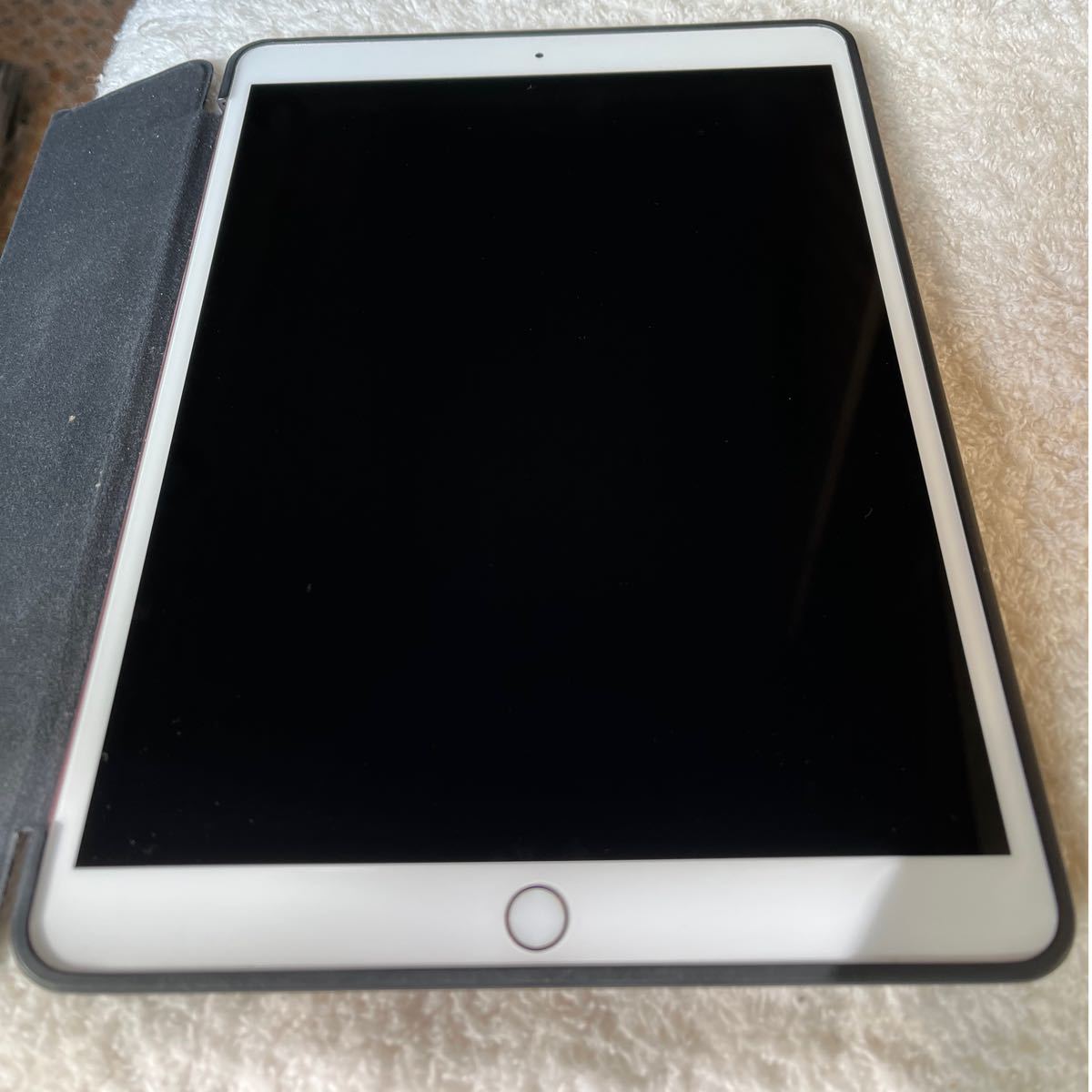 iPad Pro 10.5 512GB Wi-Fi+Cellular おまけ付き-