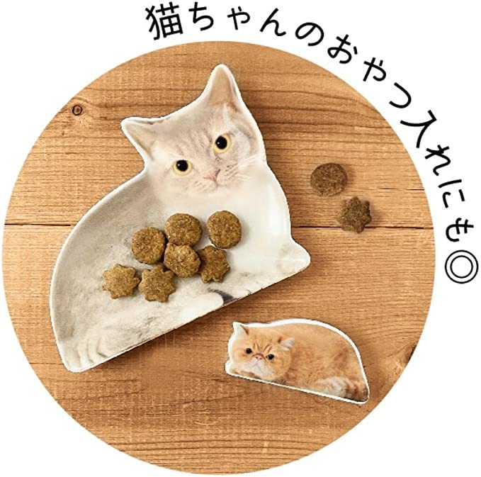 リアルキャット豆皿♪　Oh my cats!　エキゾチック　かわいい猫の小皿　エキゾチックショートヘア