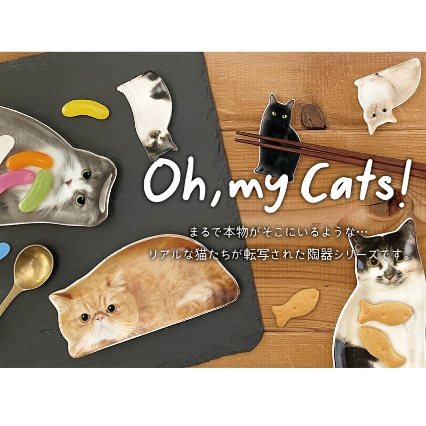 リアルキャット豆皿♪　Oh my cats!　マンチカン　かわいい猫の小皿