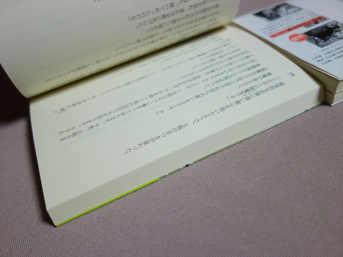 【送料込み】 文庫 早見俊 御蔵入改事件帳 世直し酒 しくじり蕎麦 中公文庫_画像9