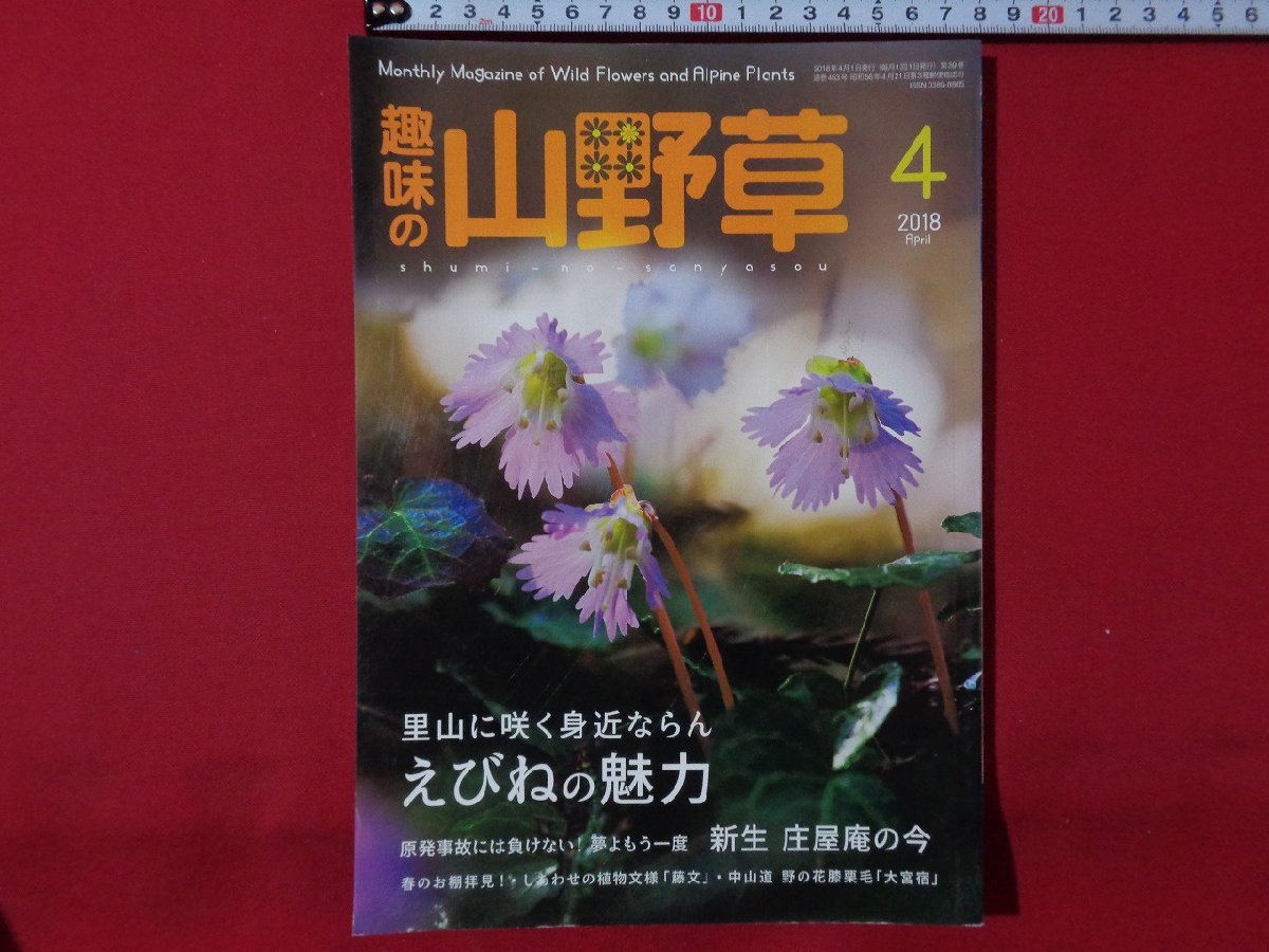 ｍ◎◎　趣味の山野草　2018年4月発行　里山に咲く身近ならん　えびねの魅力　　　/ｍｂ1_画像1