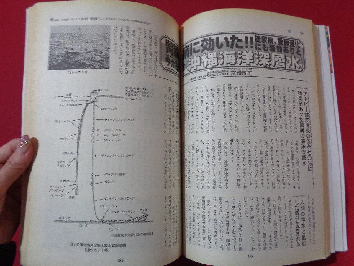 m**.. Heisei era 12 year 9 month issue heel dropping ...., ear sound knee pain,. mosquito .. instantaneously .... large boom separate volume appendix less /mb1