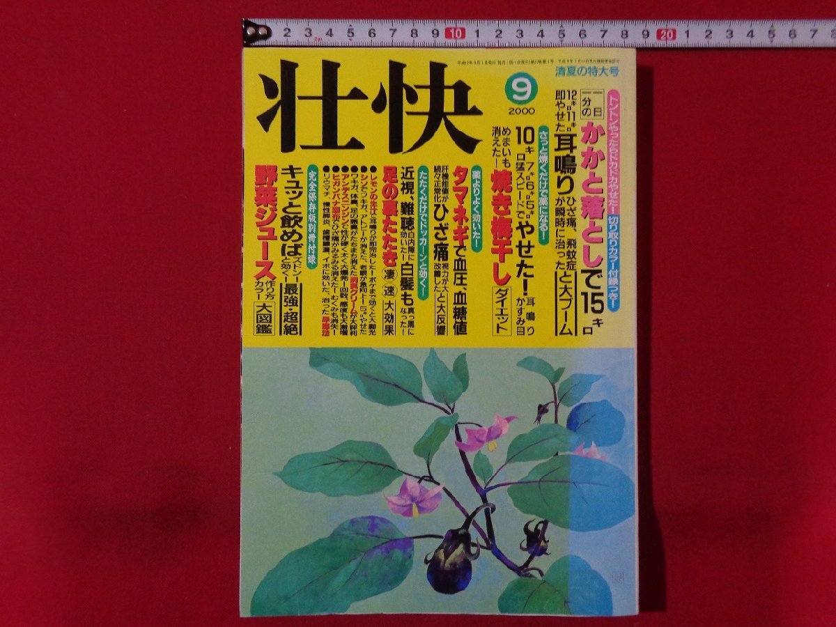 m**.. Heisei era 12 year 9 month issue heel dropping ...., ear sound knee pain,. mosquito .. instantaneously .... large boom separate volume appendix less /mb1