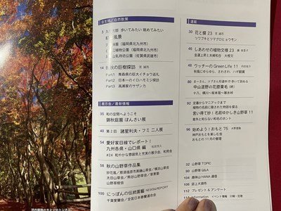 ｓ◎◎　2019年11月号　趣味の山野草　晩秋の巨樹探訪　栃の葉書房　書籍　雑誌　　　/　K14_画像2