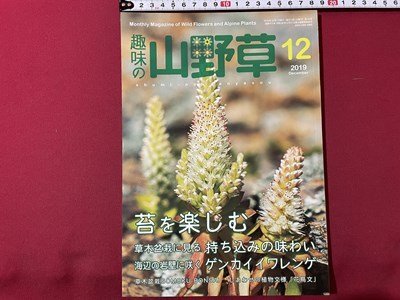 ｓ◎◎　2019年12月号　趣味の山野草　苔を楽しむ　栃の葉書房　書籍　雑誌　　　/　K14_画像1