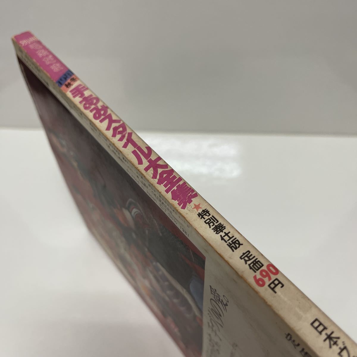 別冊 毛糸だま '81秋冬 手あみスタイル大全集 日本ヴォーグ社 佐藤アキラ 田中なおみ 編み物 手芸 1981_画像3