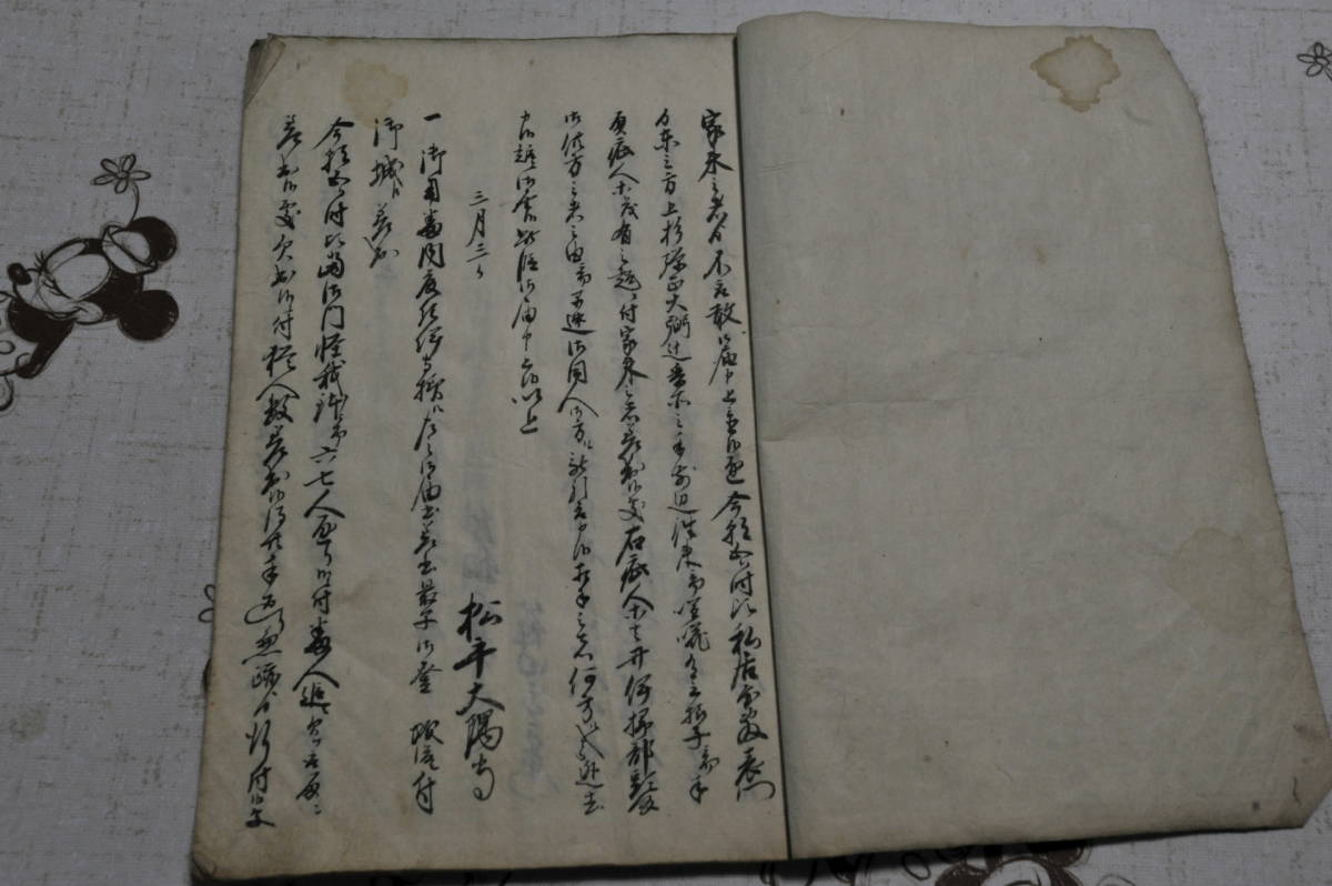 話題の行列 貴重 井伊直弼暗殺 桜田門外の変 その当時の記録書 和書