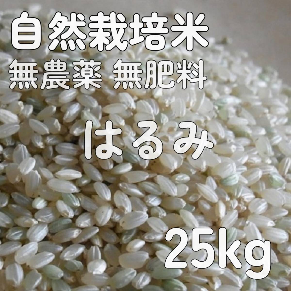 人気商品は 農薬不使用 化学肥料不使用 無農薬 自然栽培米 ヒノヒカリ 大粒 玄米
