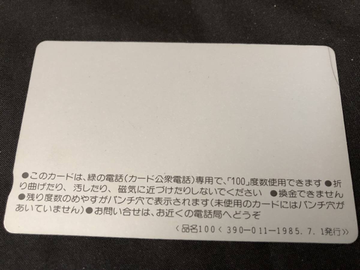 NTT-08■未使用　筥崎宮　秋のお祭り 放生会 100度_画像3