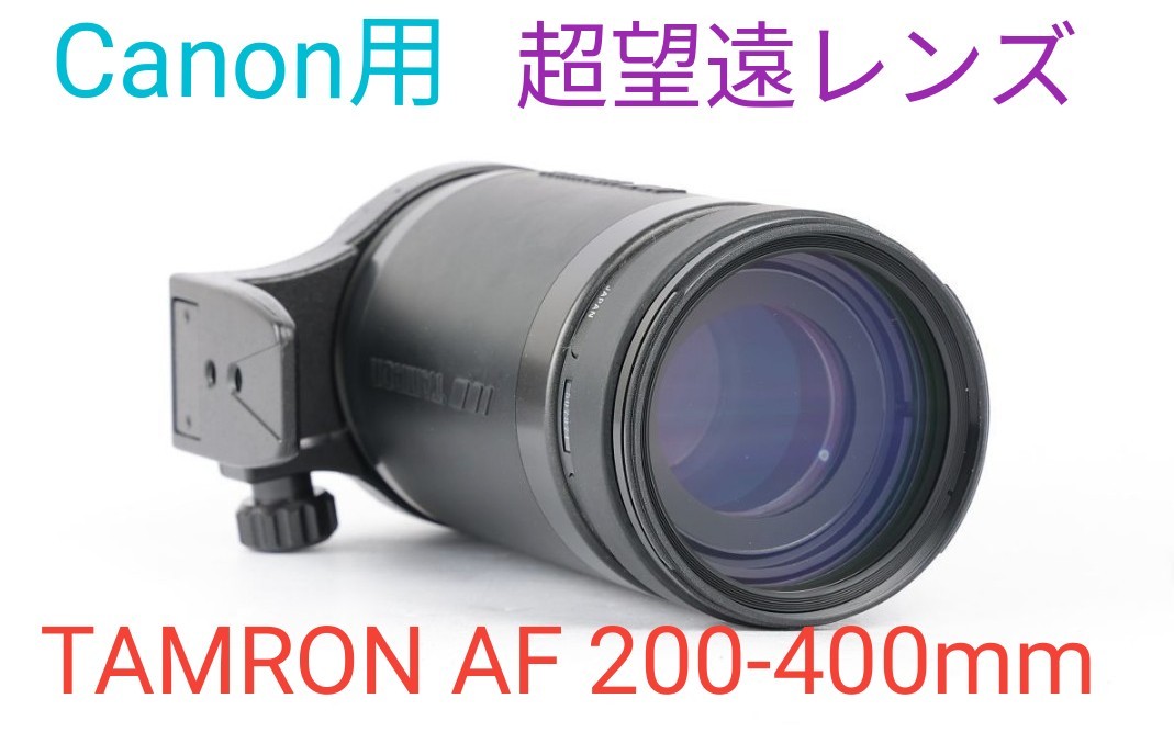 専用レンズフードサービス♪【Canon用】TAMRON AF 200-400mm カメラ