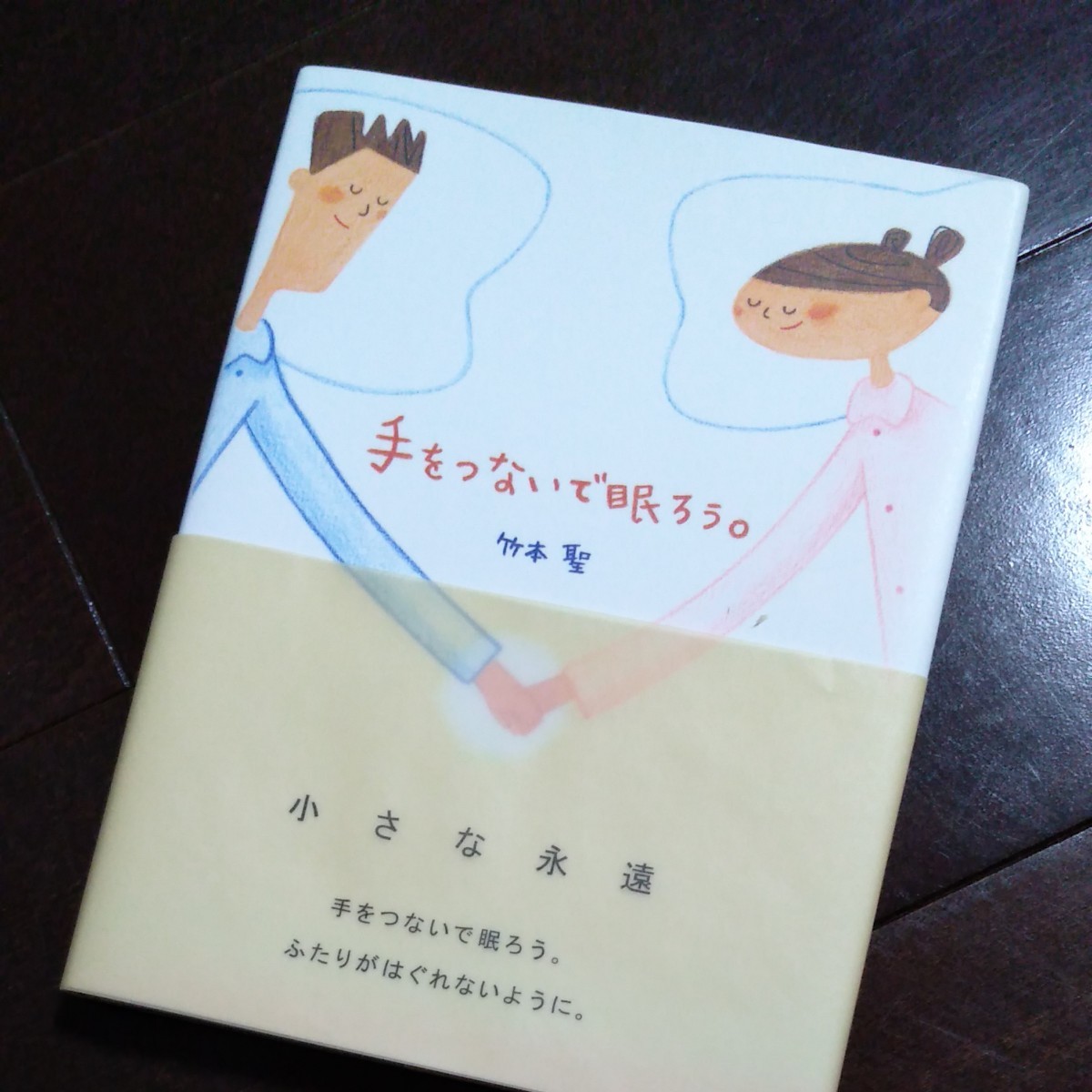 値下げ　 手をつないで眠ろう。 竹本聖／著