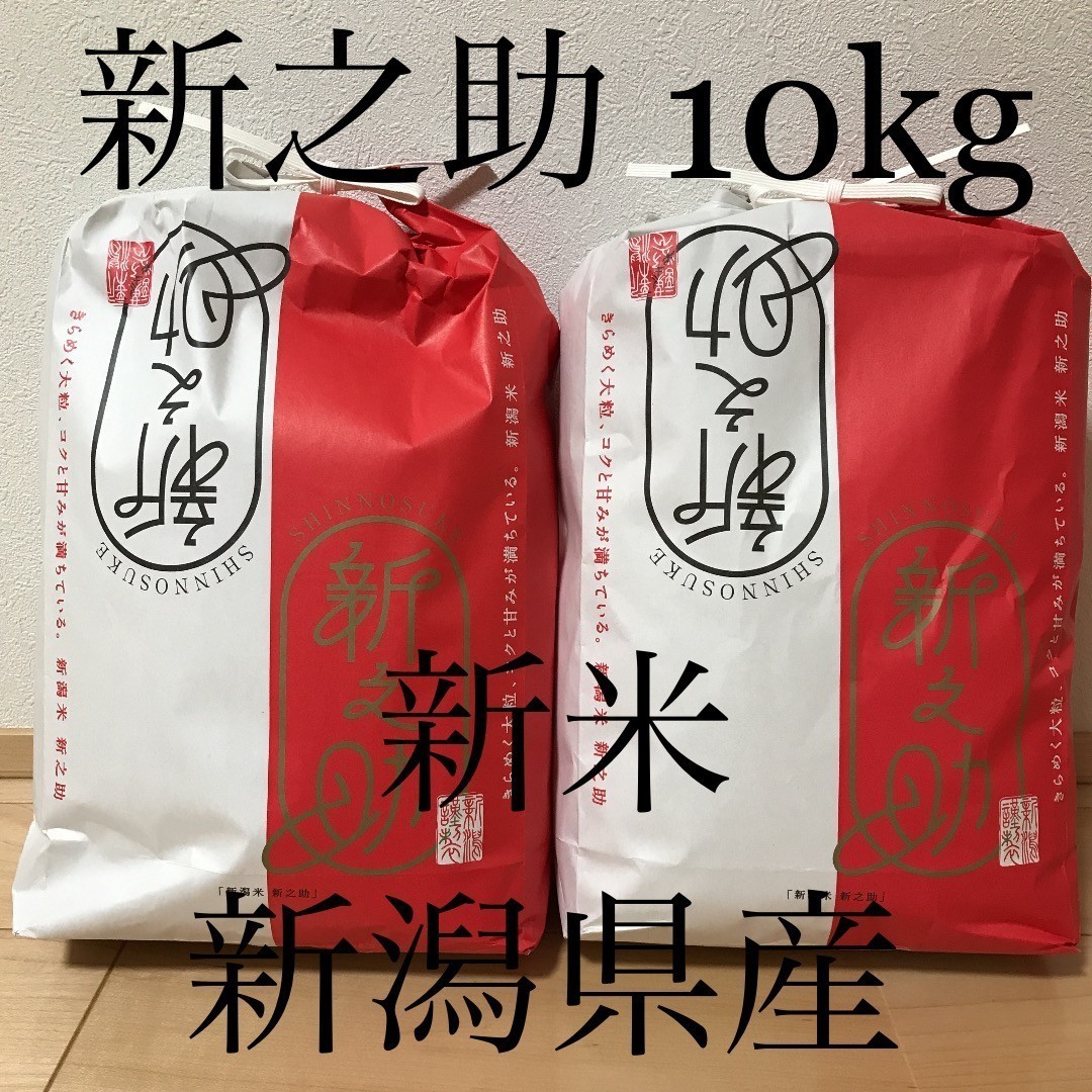 新之助 10kg 新潟県産 新米(令和4年産) - apsmo.edu.au 新之助 10kg 新潟県産 新米(令和4年産) - apsmo.edu.au