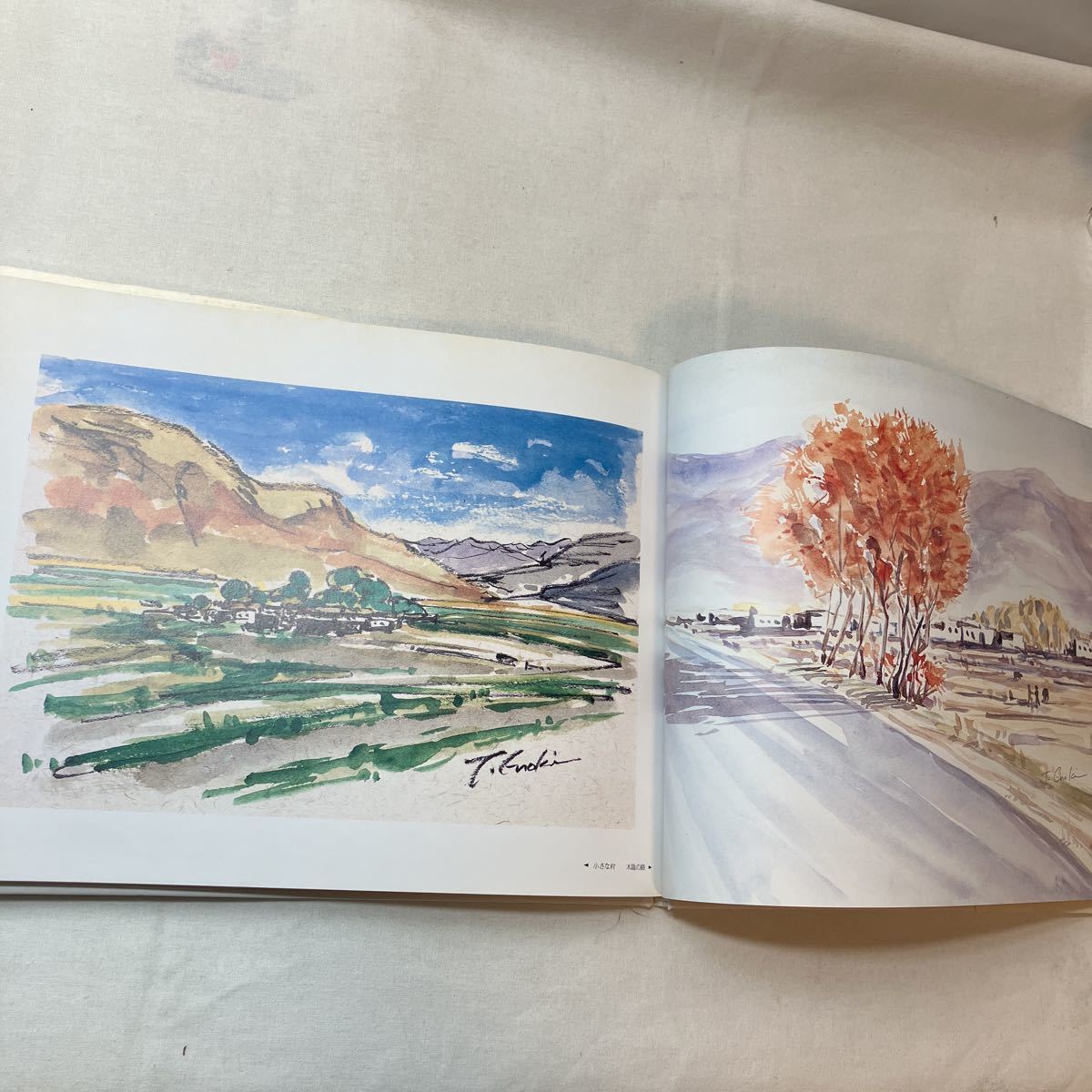 zaa-357 チベットの碧 1993/11/1 by 榎木 孝明 (著) 水彩画と zaa-357 チベットの碧 1993/11/1 by 榎木 孝明 (著) 水彩画と