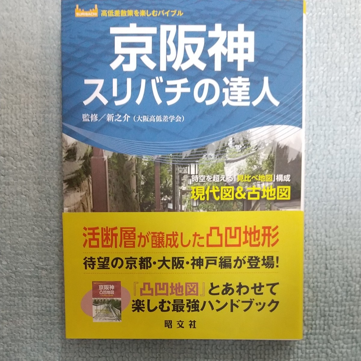 京阪神スリバチの達人　時空を超える「見比べ地図」構成現代図＆古地図 （高低差散策を楽しむバイブル） 新之介／監修