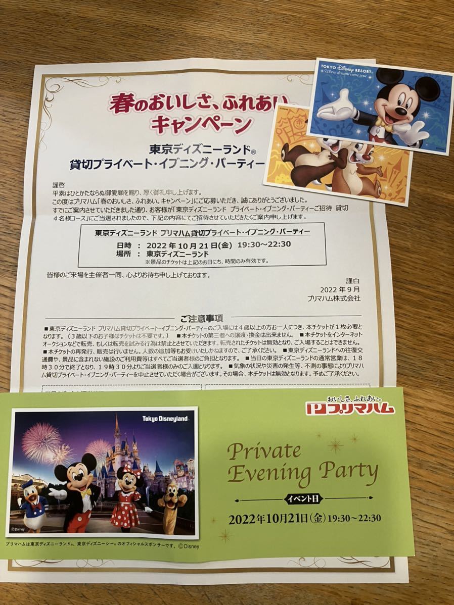 ディズニーシー 貸切チケット2枚 Indoplast Co In ディズニーシー 貸切チケット2枚 Indoplast Co In