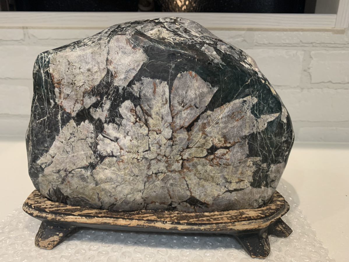 菊花石 鑑賞石 根尾谷 岐阜県 自然石 5kg 台座あり ic.sch.id
