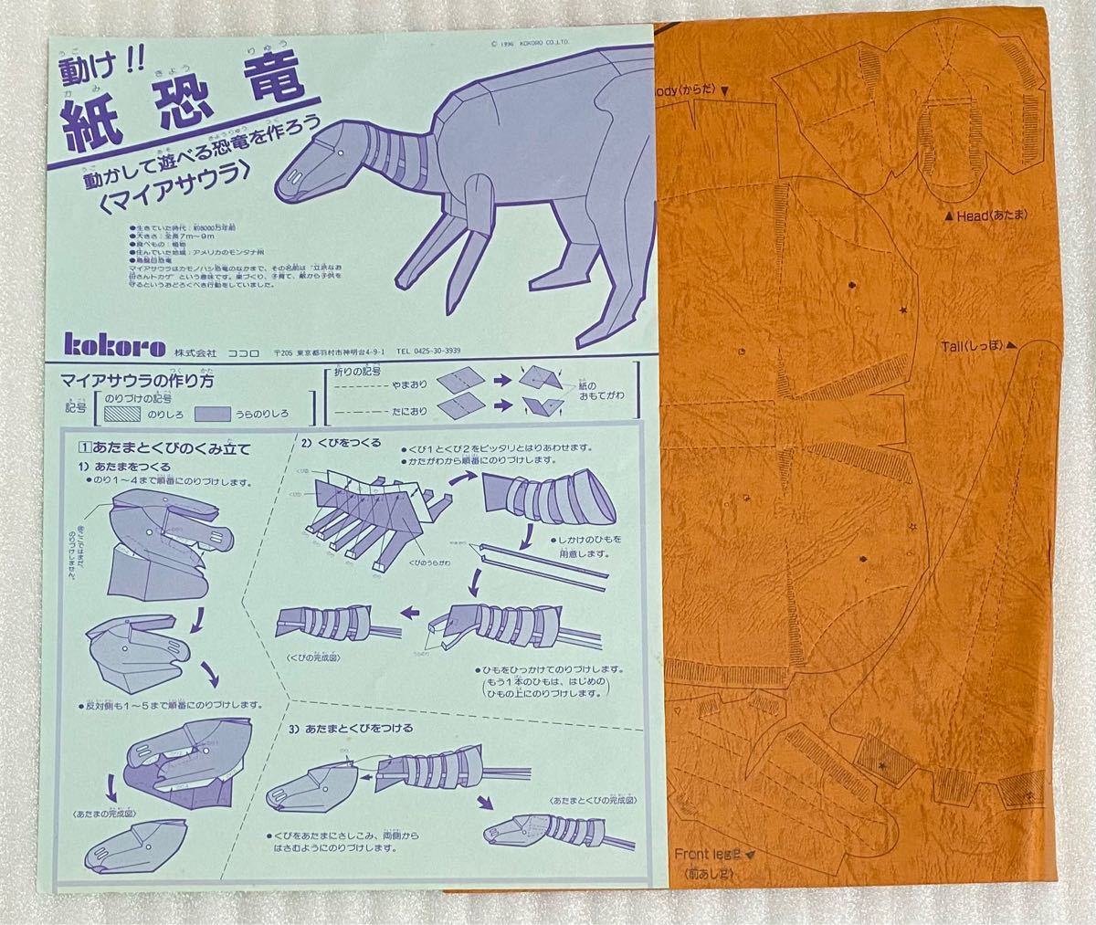 動かして遊べる楽しい恐竜　紙恐竜