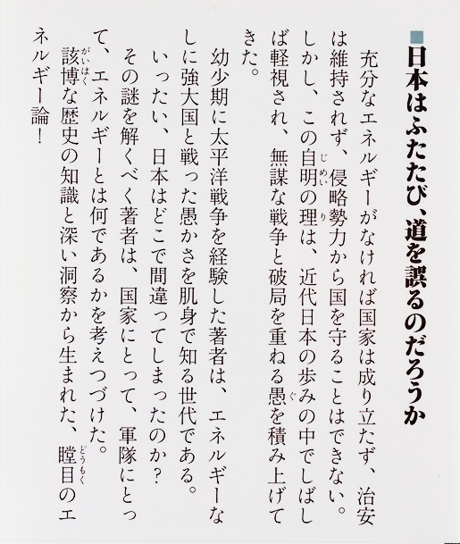 ★送料無料★ 『国家とエネルギーと戦争』 該博な歴史の知識と深い洞察から生まれた、新鮮なエレルギー論　渡部昇一　新書　★同梱ＯＫ★