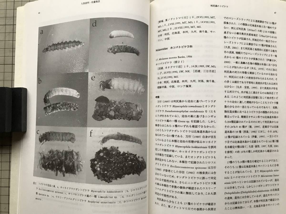 『利尻研究 利尻町立博物館年報 第20号 2001年3月』ドーベントンコウモリ・ムクゲネズミ・雪形・エゾゴゼンタチバナ・種屯内遺跡 他 07521_画像5