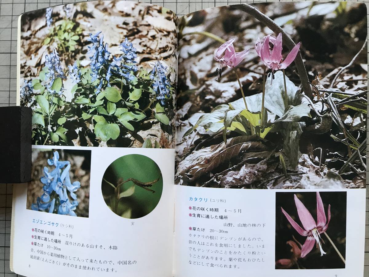 [ Hokkaido plant teaching material illustrated reference book .. flower ]... one * three on day . Hara compilation Hokkaido newspaper company 1977 year .* small junior high school * science * field study *. industry *. close . nature other 07551