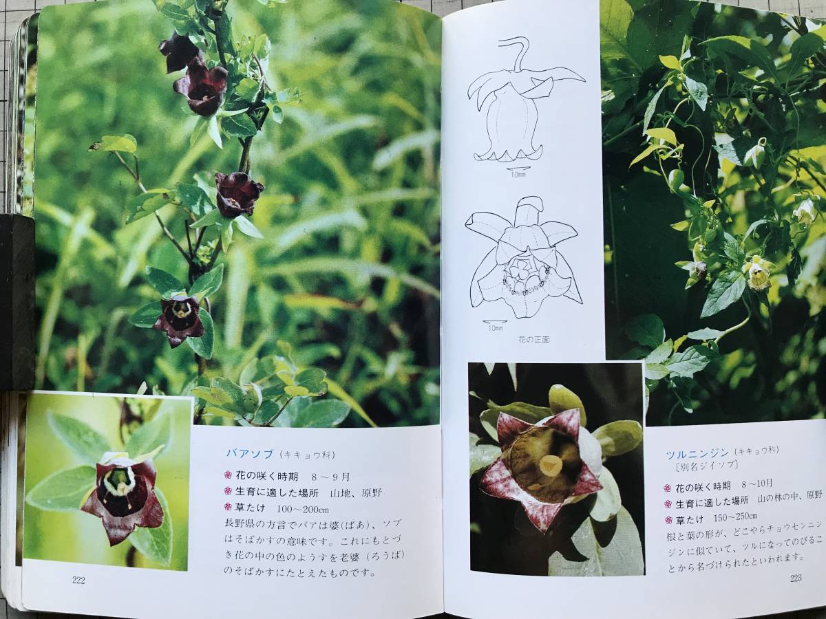 [ Hokkaido plant teaching material illustrated reference book .. flower ]... one * three on day . Hara compilation Hokkaido newspaper company 1977 year .* small junior high school * science * field study *. industry *. close . nature other 07551