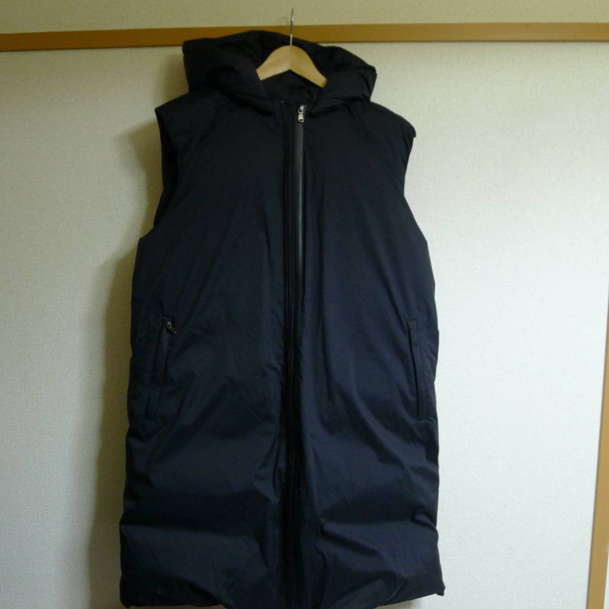 DESCENTE × ALWEL 別注 ダウンベスト-