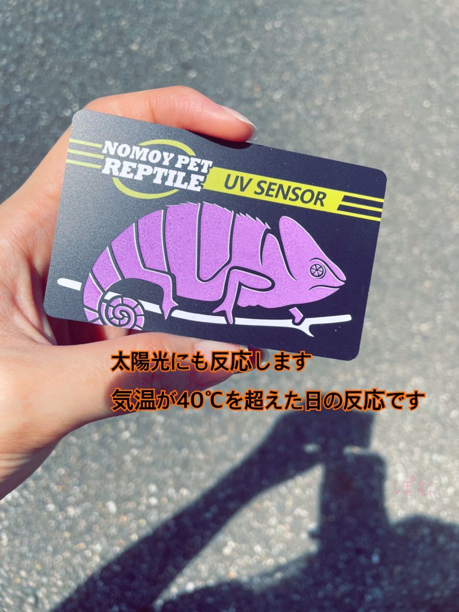 SALE／96%OFF】 UVBチェッカー 紫外線テスター 爬虫類ランプ 太陽光