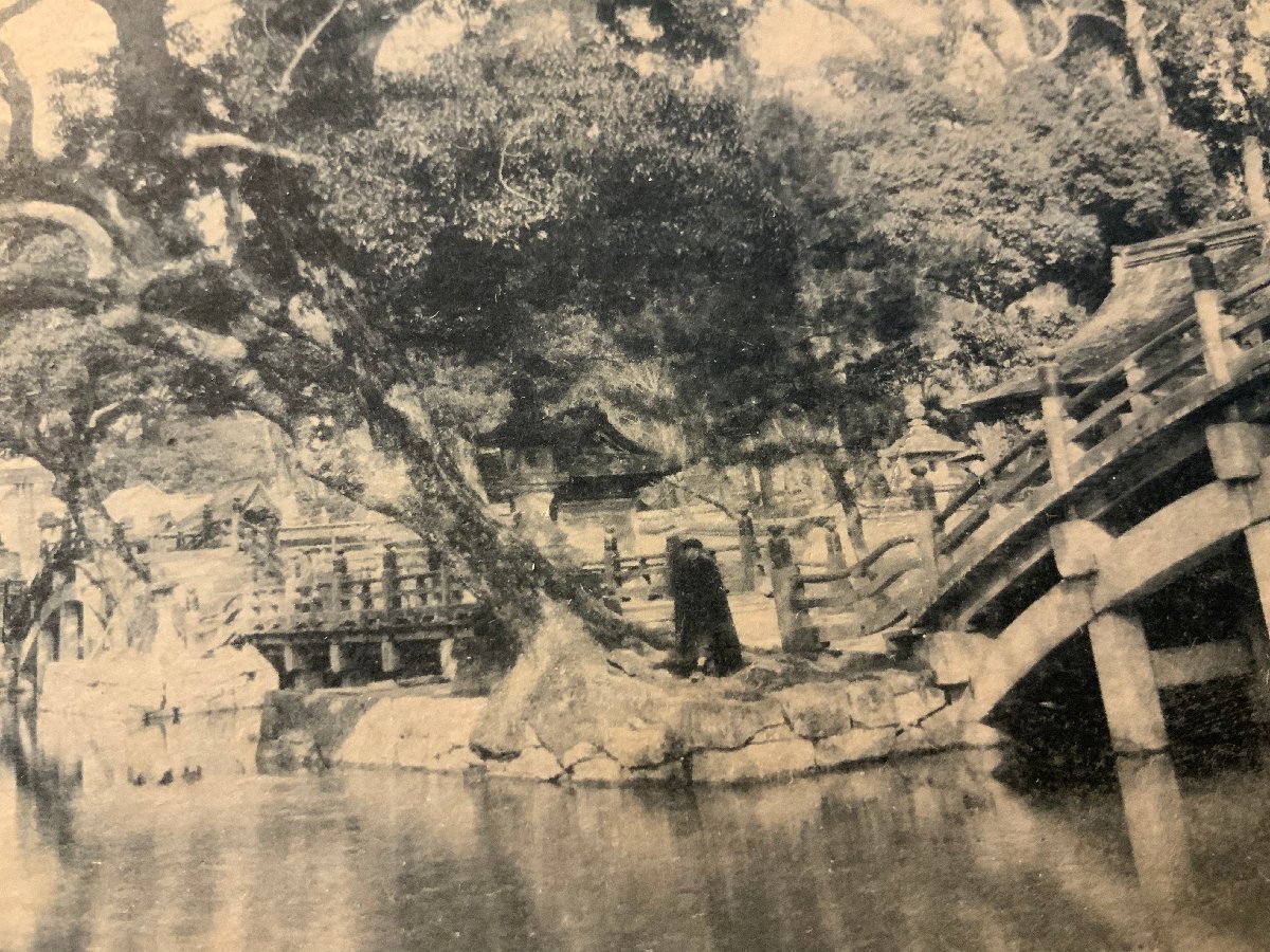 PP-6925 ■送料無料■ 福岡県 筑前太宰府神社反橋 池 庭園 名所 神社 寺 宗教 風景 景色 絵葉書 写真 古写真/くNAら_画像3