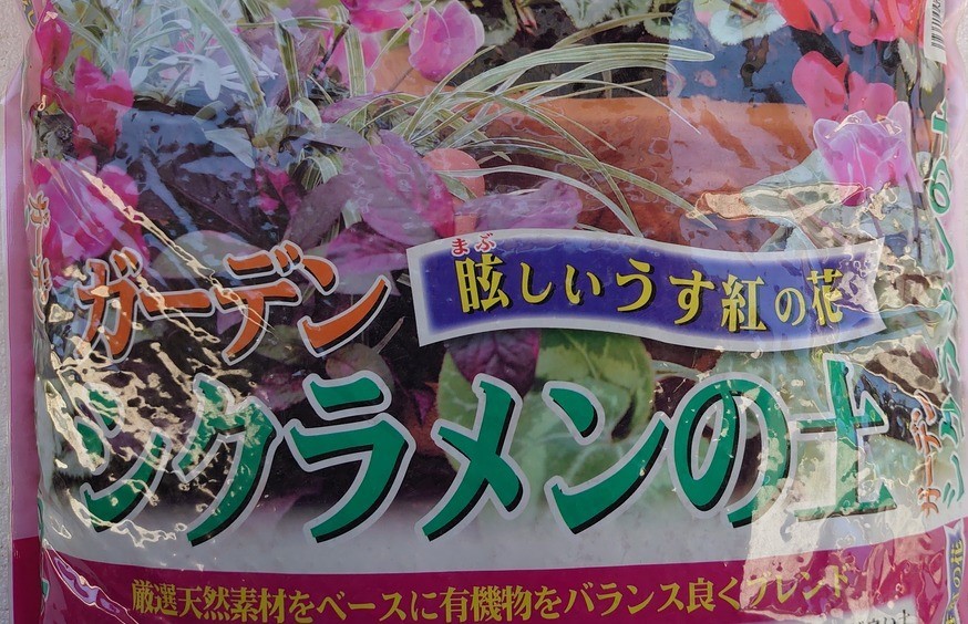  garden cyclamen persicum. earth ( 12 liter X 1 sack | 1 box )< postage extra >