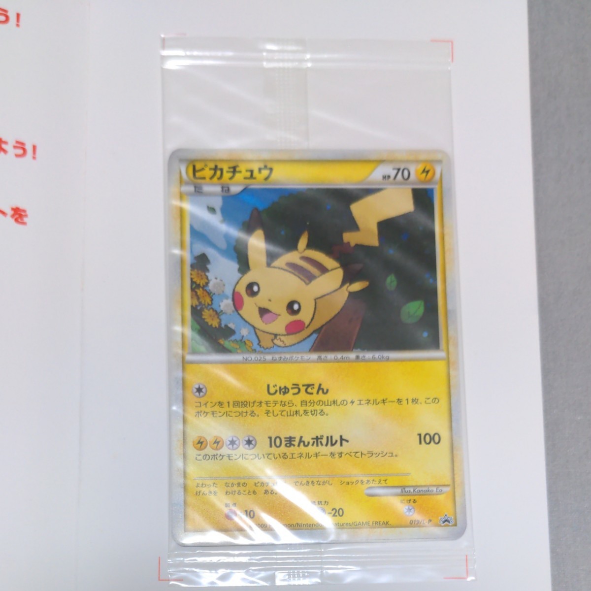ポケモン 3点セット ポケモンだいすきクラブ ピカチュウ ポケモン 3点セット ポケモンだいすきクラブ ピカチュウ