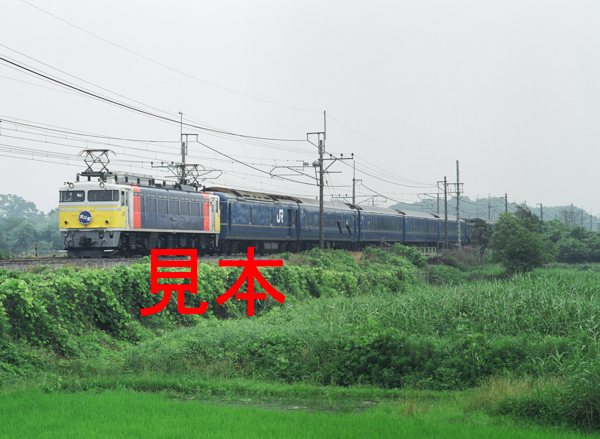 鉄道写真、645ネガデータ、160057820003、EF81-79＋北斗星、JR東北本線、蓮田〜東大宮、2010.06.27、（4548×3331）_画像1