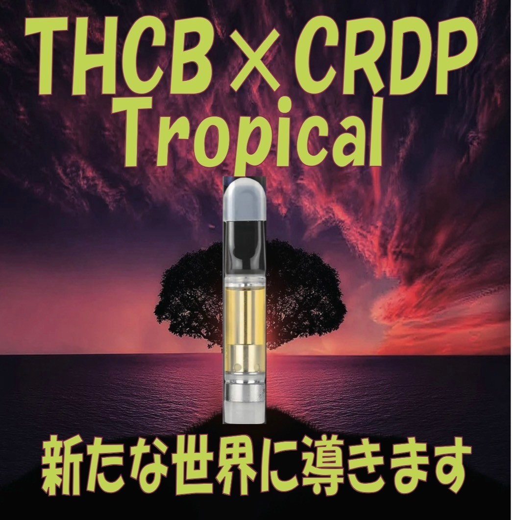 THCB × HHCP リキッド １ml Tropical