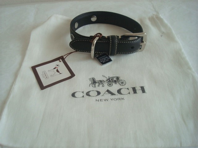 贈答品 再値下げ COACH 犬用 リード jsu.osubb.ro