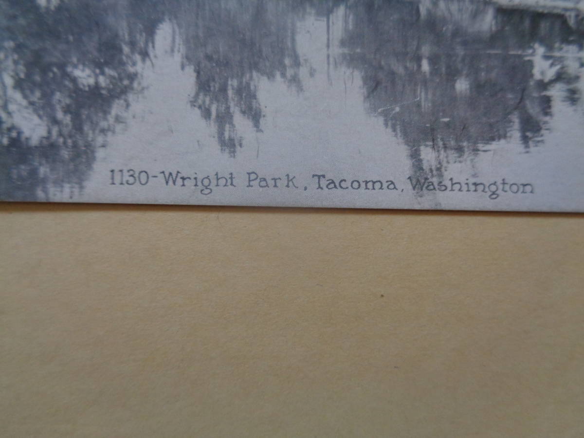 海外絵葉書　ワシントン　タコマ　Wright Park _画像2