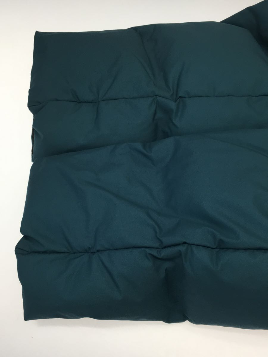 THE NORTH FACE◇BELAYER PARKA_ビレイヤーパーカ/L/ナイロン/BLU