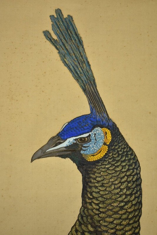 竜M431◆展覧会出品作品 真作 掛軸 石川県 画家 梶野玄山 孔雀と石楠花之図 花鳥図 絹本 竪幅 共箱_画像6