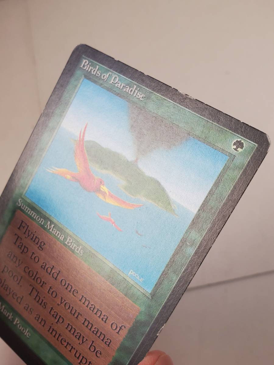 ●MTG● β ベータ 極楽鳥(英語)_画像6