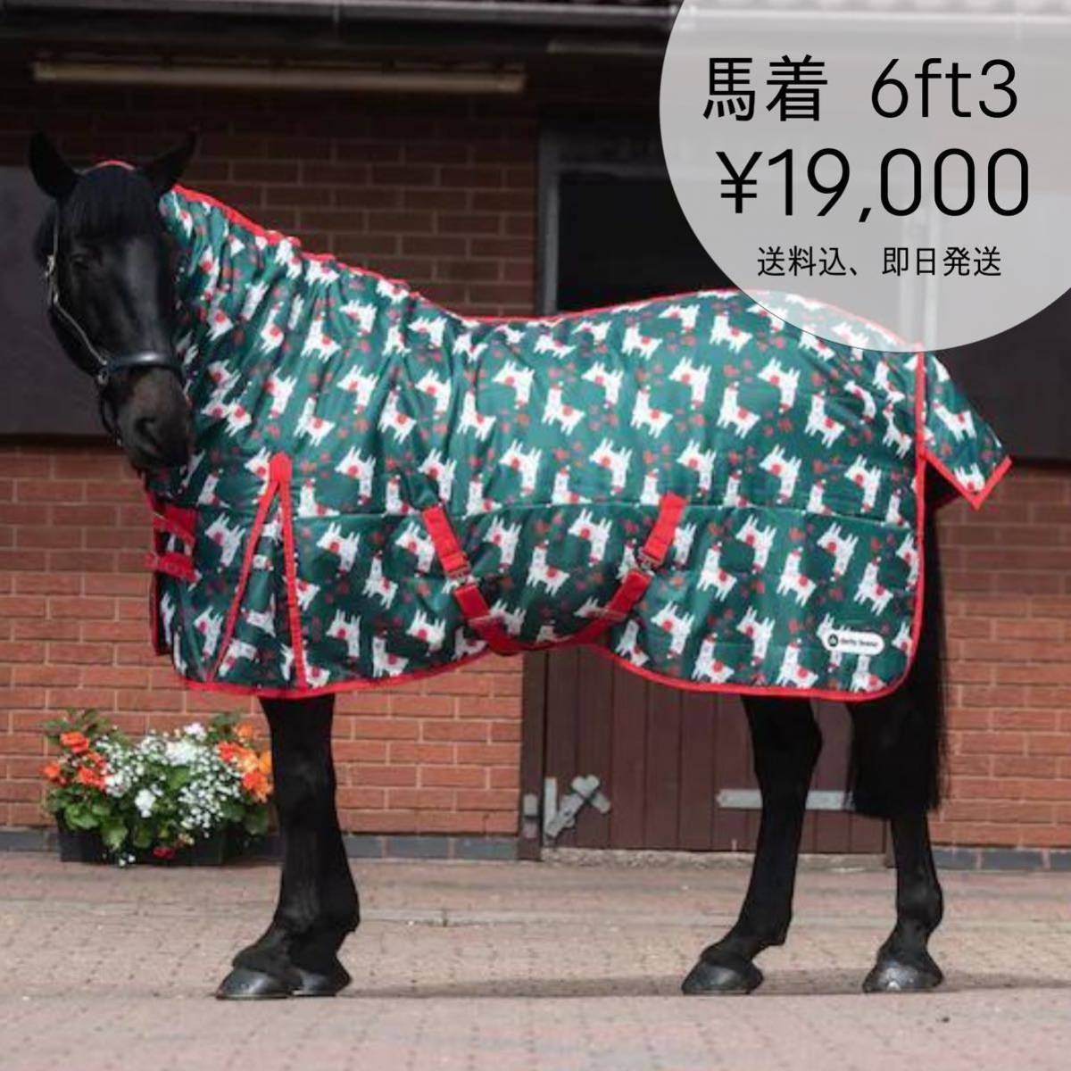 高評価国産 処分価格 馬用 ラグ 馬着 キャンバスラグ 乗馬 馬術