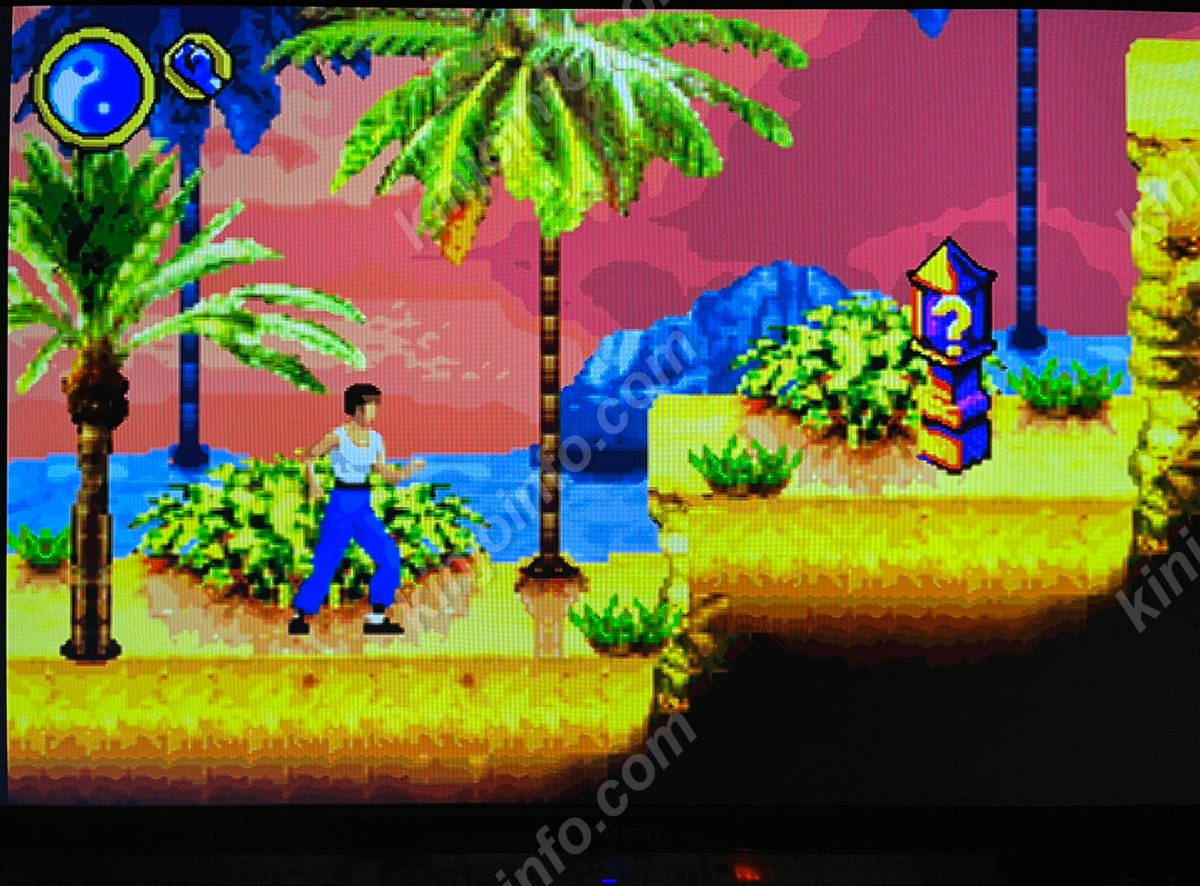 ♡´▽`♡)様 Bruce Lee:Return of the Legend【中古美品・GBA北米版
