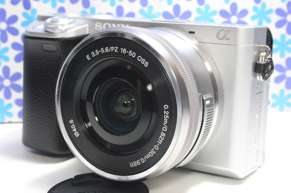 最大95%OFFクーポン Canon デジタルビデオカメラ iVIS HF R21 レッド ...