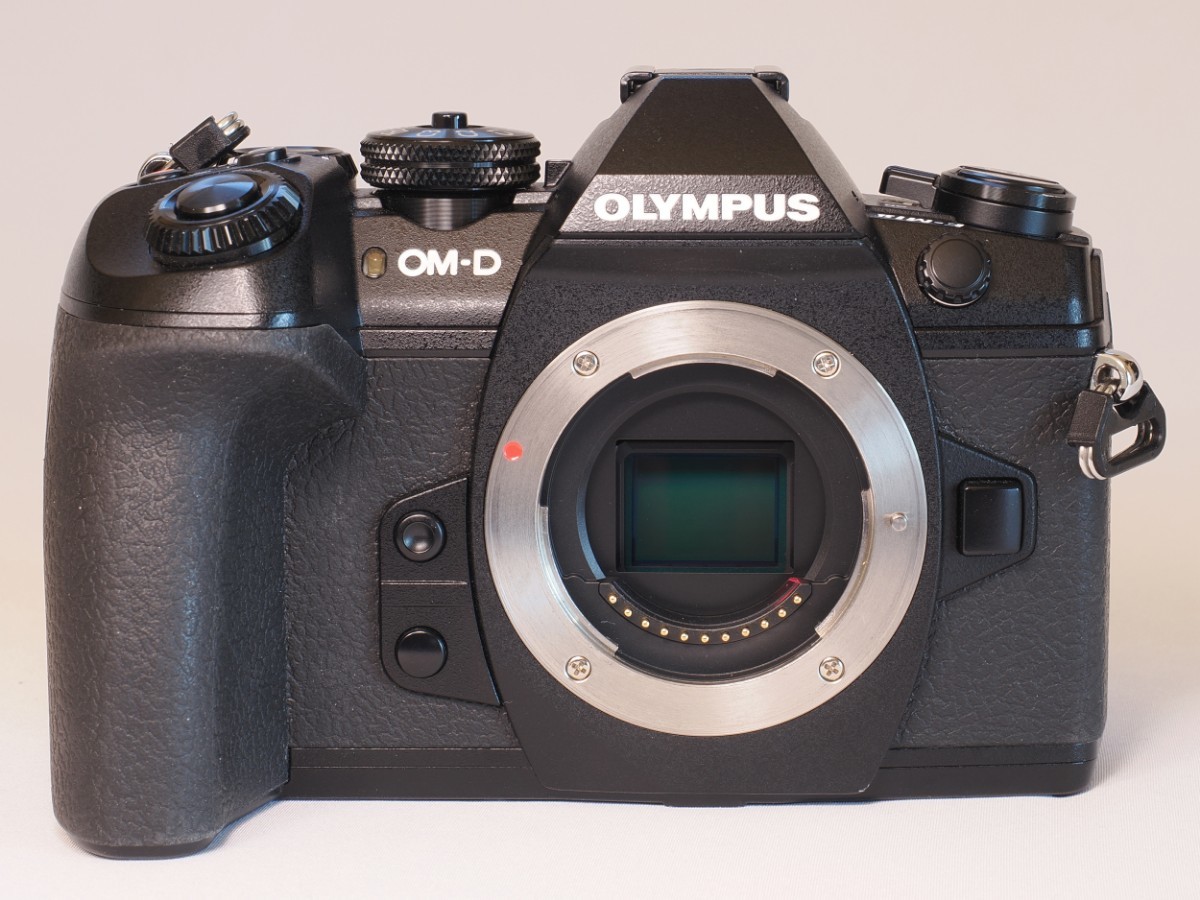 OLYMPUS OM-D E-M1 Mark2　良品　予備バッテリー付き（純正2個+社外品1個 電池合計3個）