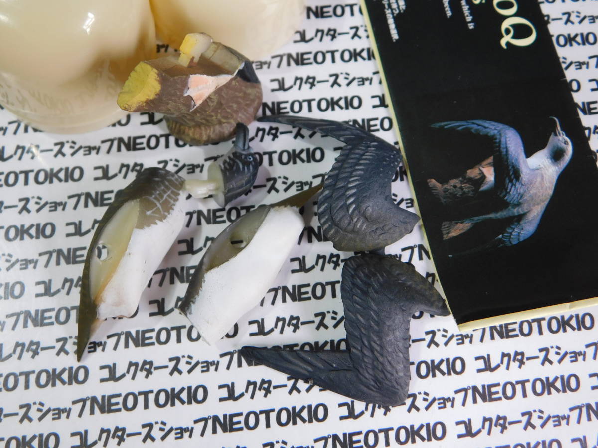 TAKARA チョコQ 日本の動物コレクション フィギュア・カワウ&オオミズナキドリ 2種セット B_画像3