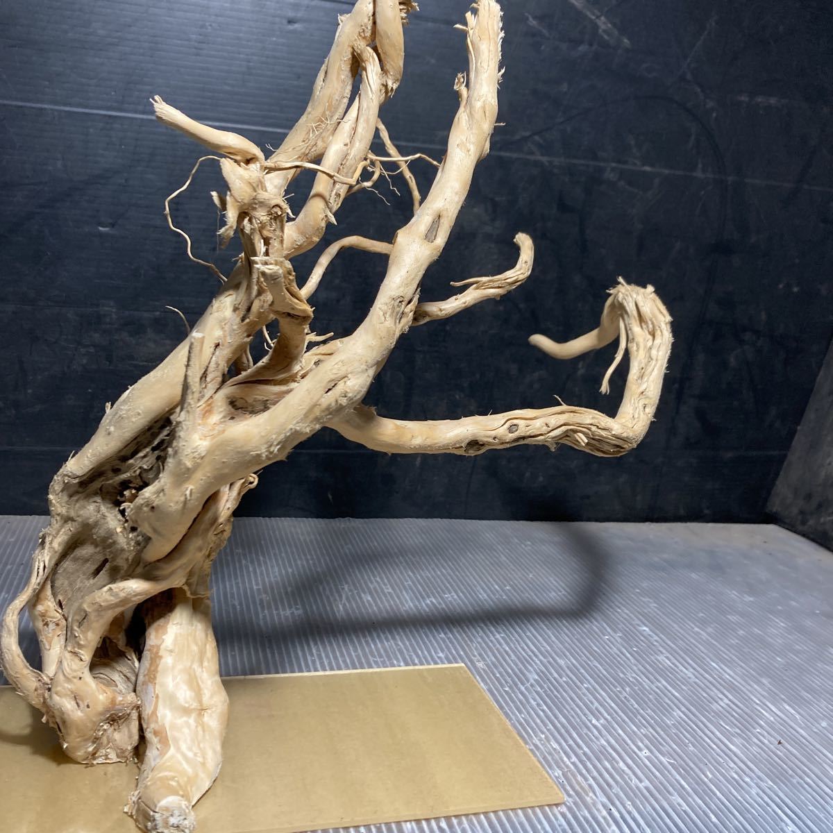 *sea tree* free shipping! Acrylic plate construction ending driftwood 1046 driftwood / aquarium / aquarium / terrarium / interior /ADA/ coral / ornament /
