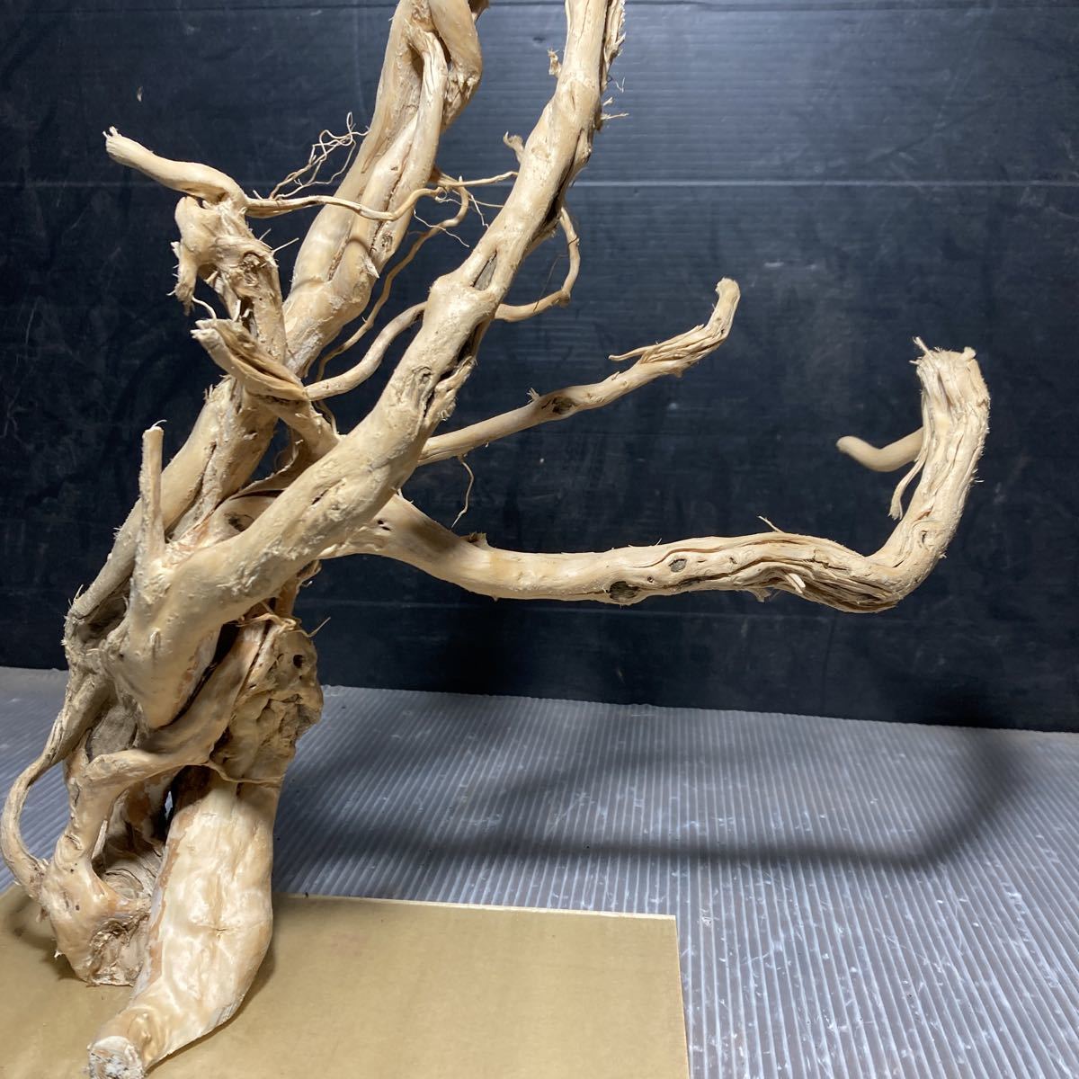 *sea tree* free shipping! Acrylic plate construction ending driftwood 1046 driftwood / aquarium / aquarium / terrarium / interior /ADA/ coral / ornament /
