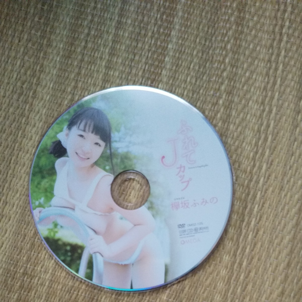 DVD　ディスクのみ　グラビア系DVD ふれてJカップ　欅坂ふみの　水着グラビア系