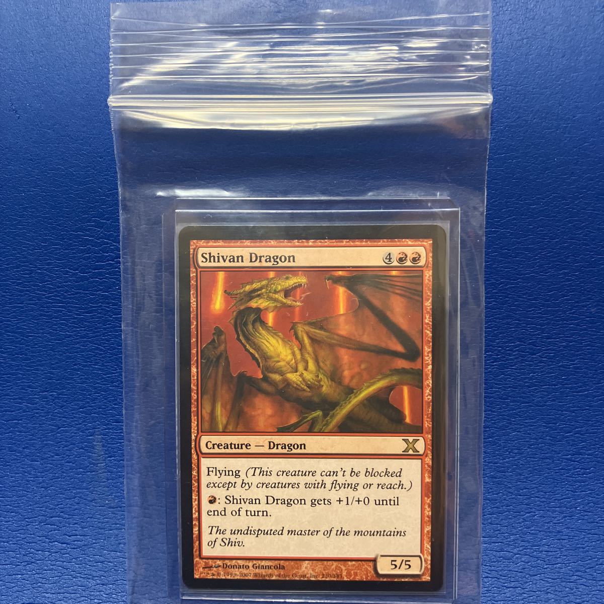 シヴ山のドラゴン Shivan Dragon英語版 10ED MTG 2枚セット