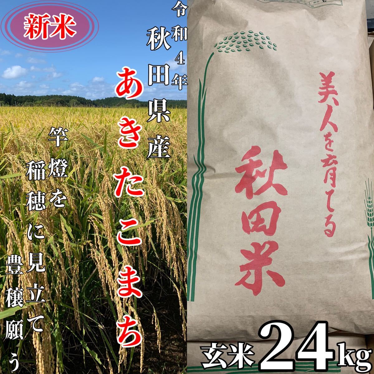人気激安） にこまる 10kg×2 農薬不使用 玄米 日本国産 農家直送 美容健康 即日配送