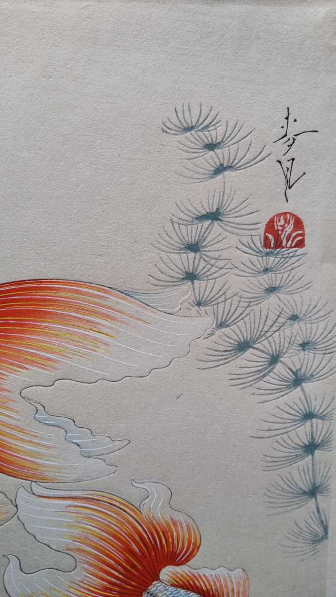大野麦風 木版画 金魚 大日本魚類画集作者小原古邨 吉田博 大野麦風 木版画 金魚 大日本魚類画集作者小原古邨 吉田博