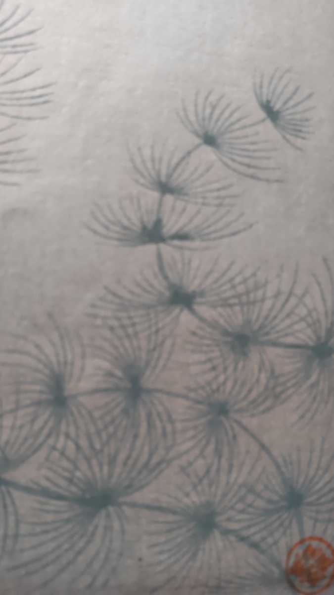 大野麦風 木版画 金魚 大日本魚類画集作者小原古邨 吉田博 大野麦風 木版画 金魚 大日本魚類画集作者小原古邨 吉田博