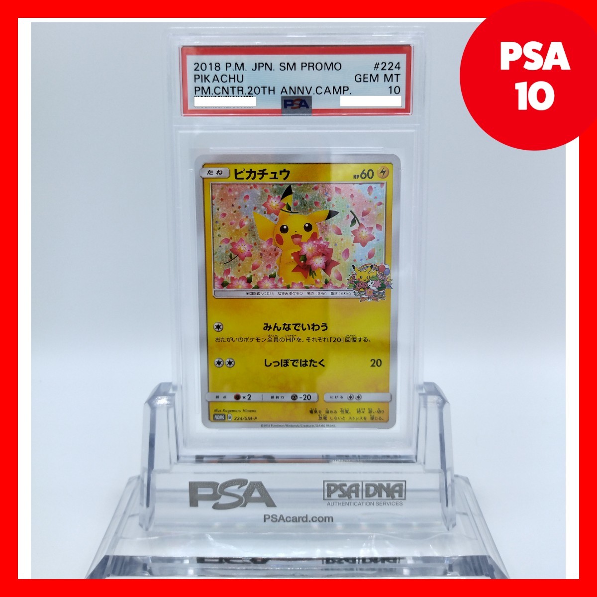 PSA10 みんなで祝う ピカチュウ - fundacionatenea.org
